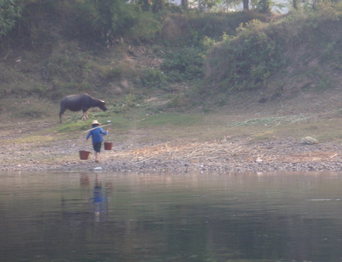 Man gathering garden water.